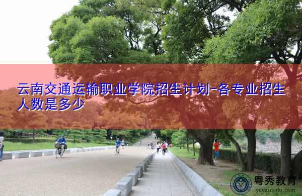 云南交通运输职业学院招生计划-各专业招生人数是多少