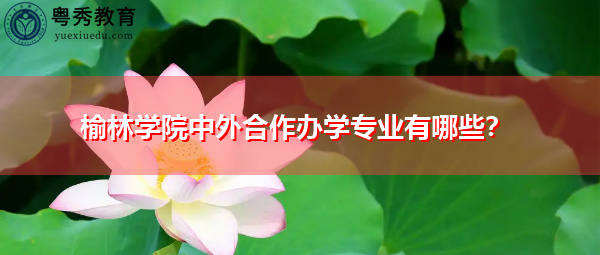 榆林学院中外合作办学专业有哪些？