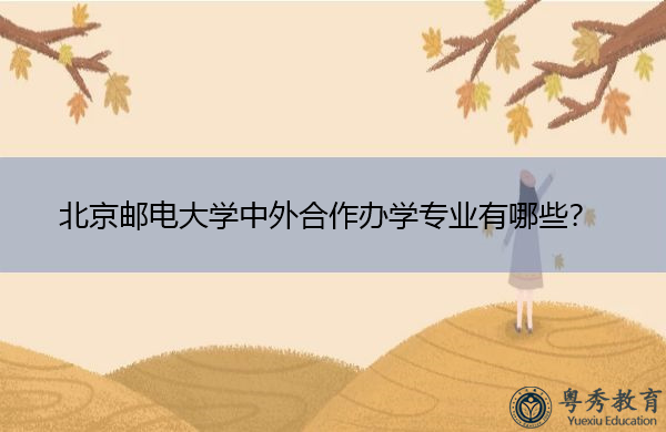 北京邮电大学中外合作办学专业有哪些？