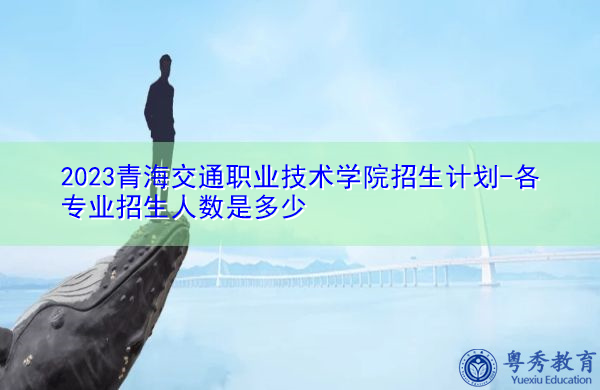 2023青海交通职业技术学院招生计划-各专业招生人数是多少 2023青海交通职业技术学院招生计划-各专业招生人数是多少