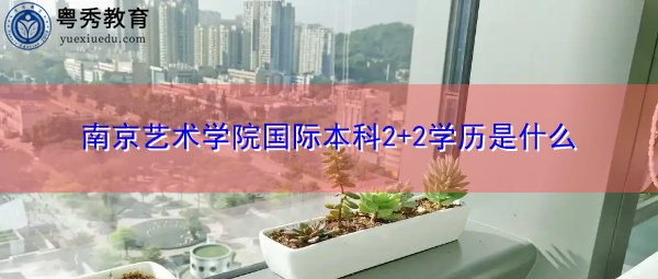 南京艺术学院国际本科2+2学历是什么