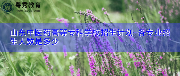 山东中医药高等专科学校招生计划-各专业招生人数是多少 山东中医药高等专科学校招生计划-各专业招生人数是多少