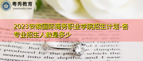 2023安徽国际商务职业学院招生计划-各专业招生人数是多少 2023安徽国际商务职业学院招生计划-各专业招生人数是多少