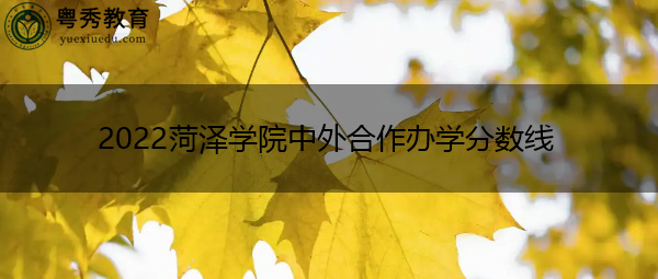 2022菏泽学院中外合作办学分数线 2022菏泽学院中外合作办学分数线