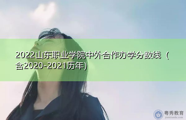 2022山东职业学院中外合作办学分数线（含2020-2021历年）
