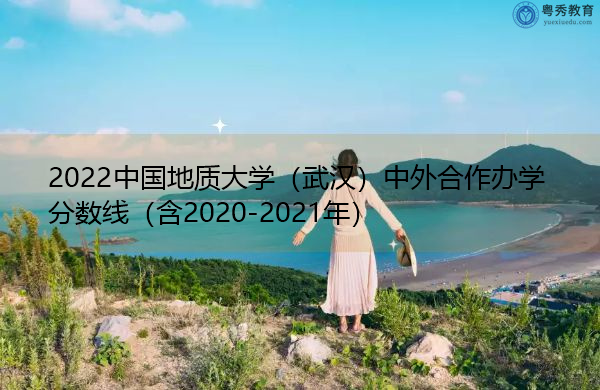 2022中国地质大学（武汉）中外合作办学分数线（含2020-2021年）