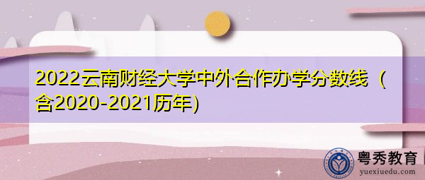 2022云南财经大学中外合作办学分数线（含2020-2021历年）