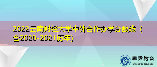 2022云南财经大学中外合作办学分数线（含2020-2021历年）