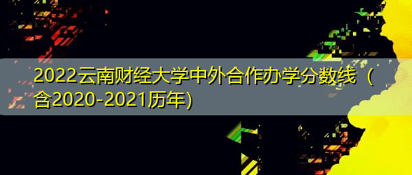 2022云南财经大学中外合作办学分数线（含2020-2021历年）