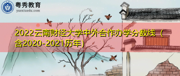 2022云南财经大学中外合作办学分数线（含2020-2021历年）