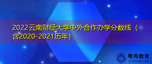2022云南财经大学中外合作办学分数线（含2020-2021历年）
