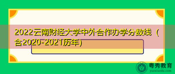 2022云南财经大学中外合作办学分数线（含2020-2021历年）