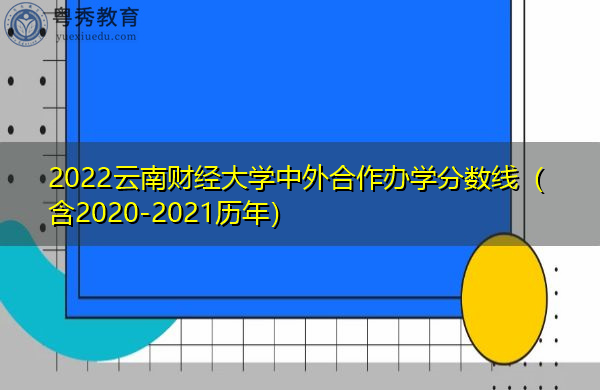 2022云南财经大学中外合作办学分数线（含2020-2021历年）