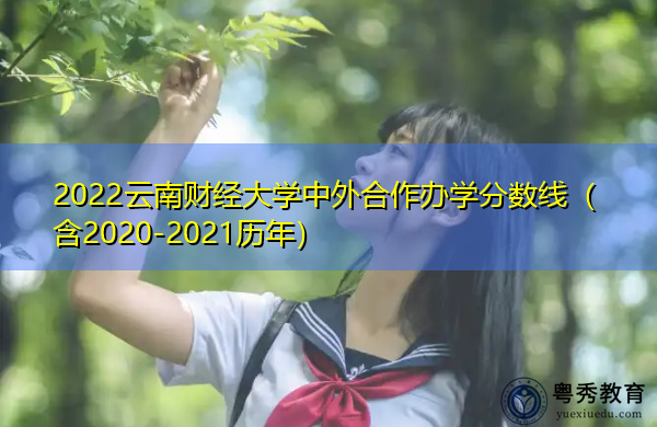 2022云南财经大学中外合作办学分数线（含2020-2021历年）