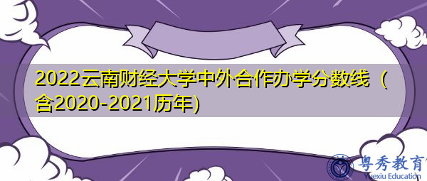 2022云南财经大学中外合作办学分数线（含2020-2021历年）