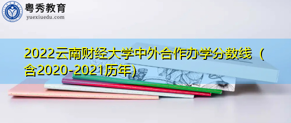 2022云南财经大学中外合作办学分数线（含2020-2021历年）