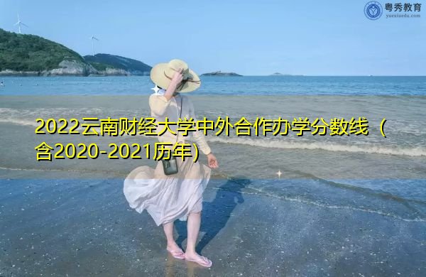 2022云南财经大学中外合作办学分数线（含2020-2021历年）