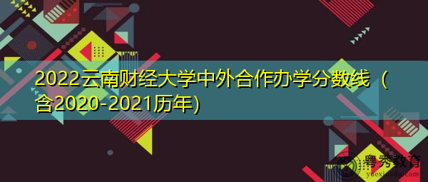 2022云南财经大学中外合作办学分数线（含2020-2021历年）