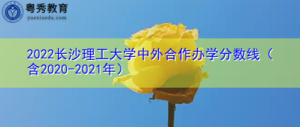 2022长沙理工大学中外合作办学分数线（含2020-2021年）