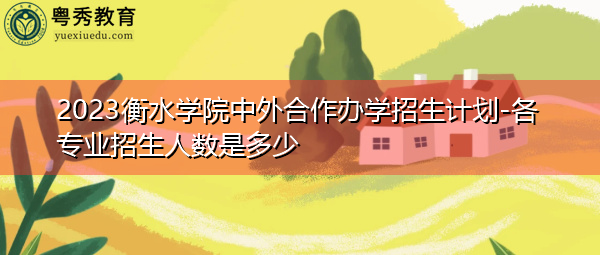 2023衡水学院中外合作办学招生计划-各专业招生人数是多少 2023衡水学院中外合作办学招生计划-各专业招生人数是多少