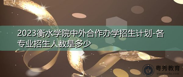 2023衡水学院中外合作办学招生计划-各专业招生人数是多少