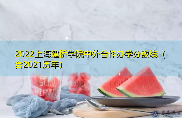 2022上海建桥学院中外合作办学分数线（含2021历年）