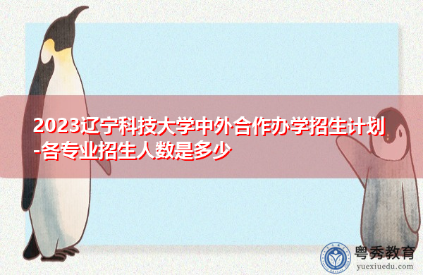2023辽宁科技大学中外合作办学招生计划-各专业招生人数是多少