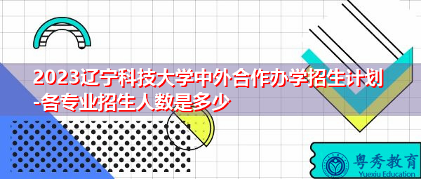 2023辽宁科技大学中外合作办学招生计划-各专业招生人数是多少