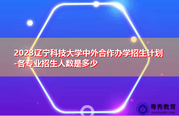 2023辽宁科技大学中外合作办学招生计划-各专业招生人数是多少