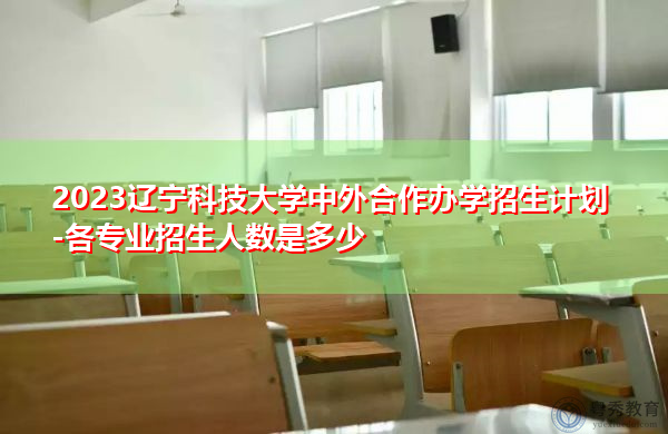 2023辽宁科技大学中外合作办学招生计划-各专业招生人数是多少