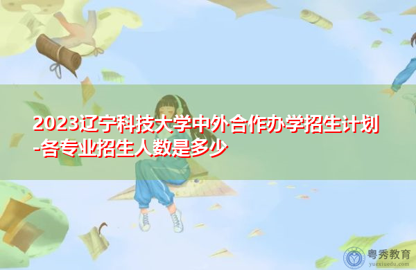 2023辽宁科技大学中外合作办学招生计划-各专业招生人数是多少