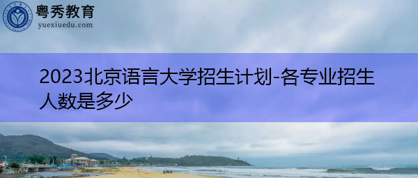 2023北京语言大学招生计划-各专业招生人数是多少 2023北京语言大学招生计划-各专业招生人数是多少