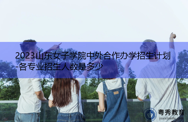 2023山东女子学院中外合作办学招生计划-各专业招生人数是多少