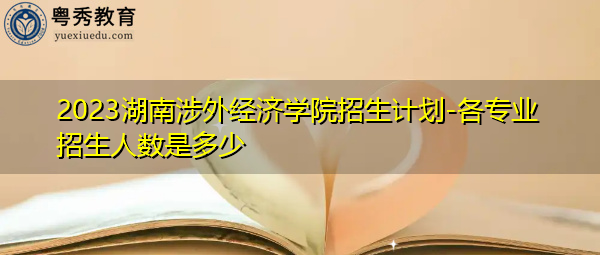 2023湖南涉外经济学院招生计划-各专业招生人数是多少 2023湖南涉外经济学院招生计划-各专业招生人数是多少