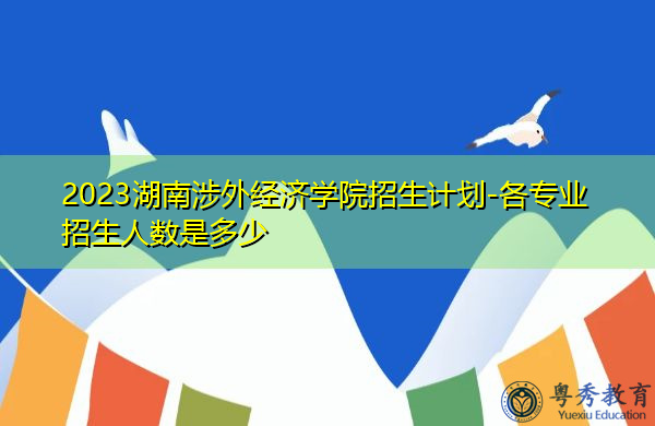 2023湖南涉外经济学院招生计划-各专业招生人数是多少 2023湖南涉外经济学院招生计划-各专业招生人数是多少