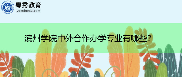 滨州学院中外合作办学专业有哪些？