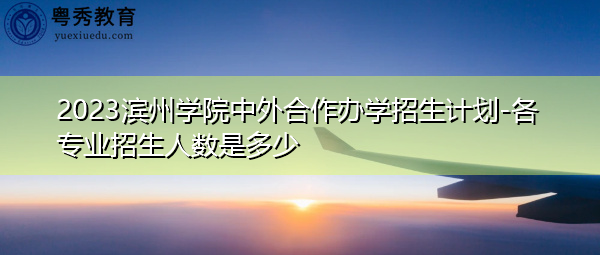 2023滨州学院中外合作办学招生计划-各专业招生人数是多少