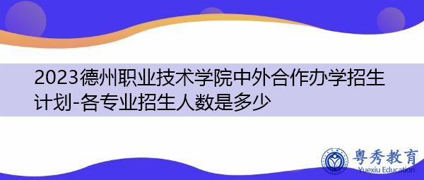 2023德州职业技术学院中外合作办学招生计划-各专业招生人数是多少 2023德州职业技术学院中外合作办学招生计划-各专业招生人数是多少
