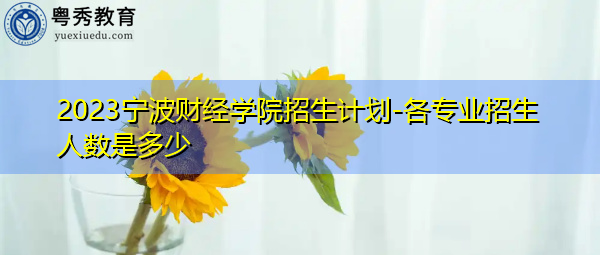 2023宁波财经学院招生计划-各专业招生人数是多少 2023宁波财经学院招生计划-各专业招生人数是多少