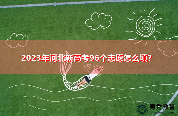 2023年河北新高考96个志愿怎么填？