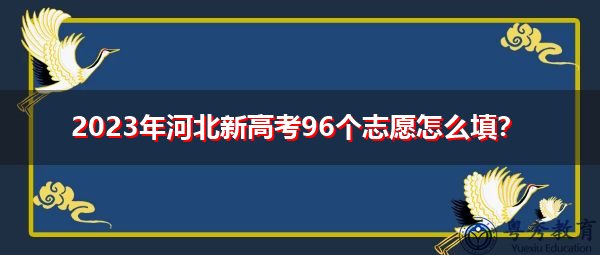 2023年河北新高考96个志愿怎么填？