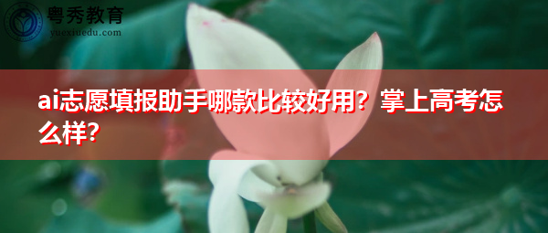 ai志愿填报助手哪款比较好用?掌上高考怎么样? ai志愿填报助手哪款比较好用?掌上高考怎么样?