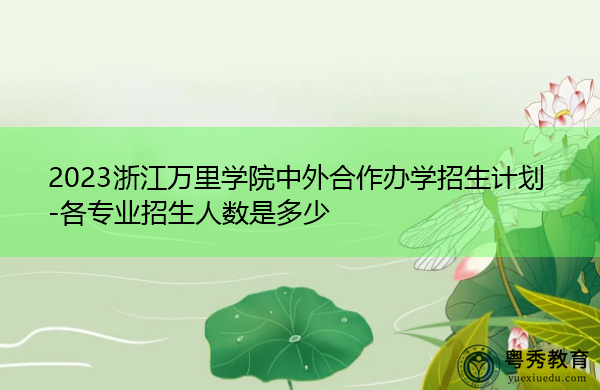 2023浙江万里学院中外合作办学招生计划-各专业招生人数是多少