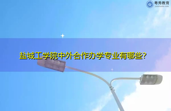 盐城工学院中外合作办学专业有哪些? 盐城工学院中外合作办学专业有哪些?