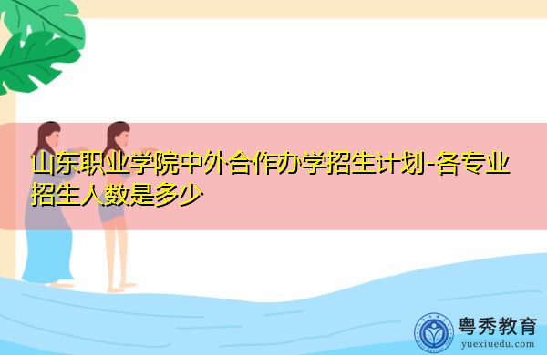 山东职业学院中外合作办学招生计划-各专业招生人数是多少