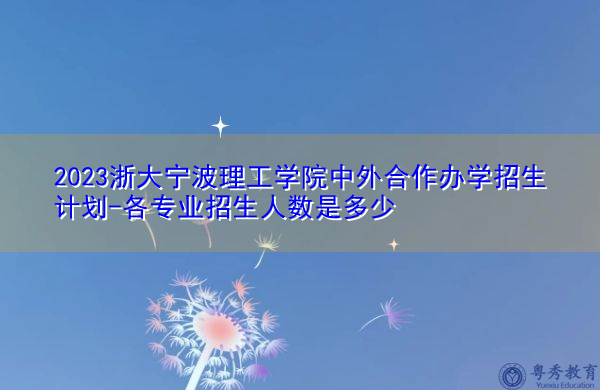 2023浙大宁波理工学院中外合作办学招生计划-各专业招生人数是多少 2023浙大宁波理工学院中外合作办学招生计划-各专业招生人数是多少