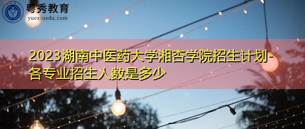 2023湖南中医药大学湘杏学院招生计划-各专业招生人数是多少