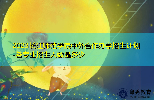 2023长江师范学院中外合作办学招生计划-各专业招生人数是多少