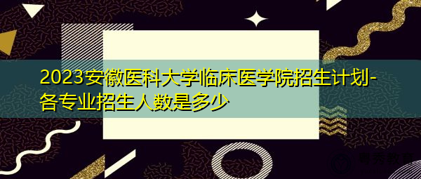 2023安徽医科大学临床医学院招生计划-各专业招生人数是多少 2023安徽医科大学临床医学院招生计划-各专业招生人数是多少