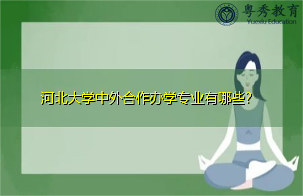 河北大学中外合作办学专业有哪些？